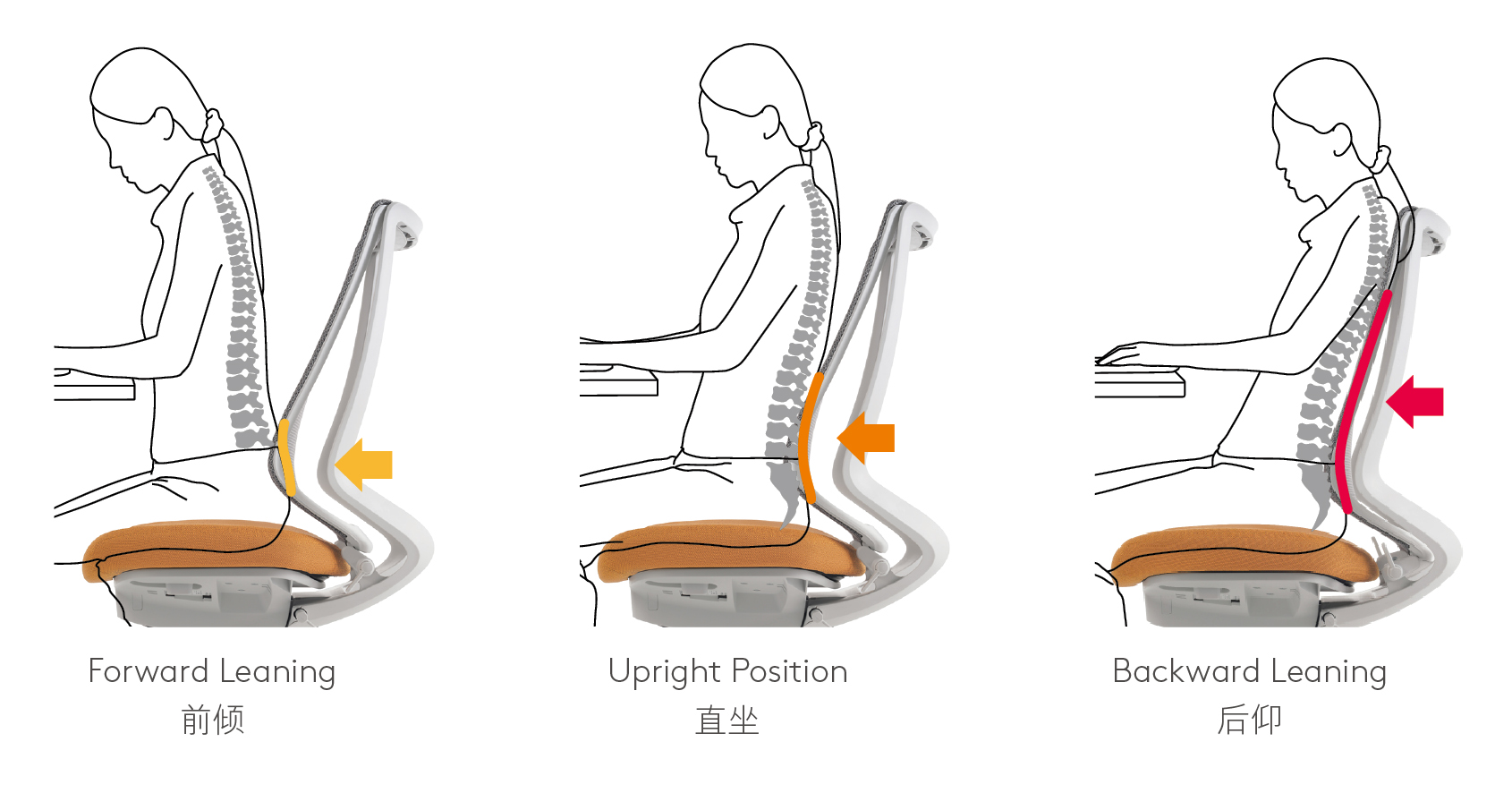 1 - Duora2 - Synchronized Dynamic Support System